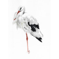 BOCIAN - OBRAZ AKWARELOWY