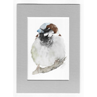 WRÓBEL - AKWARELA Z PASSE PORTOUT