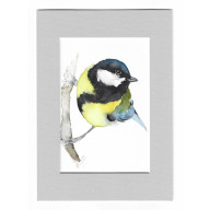 SIKORA BOGATKA - AKWARELA Z PASSE PORTOUT