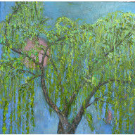 WIERZBA, KTÓRA SIĘ NIE ŚMIEJE