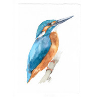 ZIMORODEK - OBRAZ AKWARELOWY