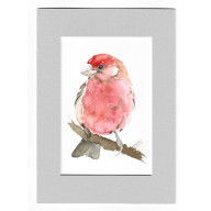 DZIWONIA - AKWARELA Z PASSE PORTOUT