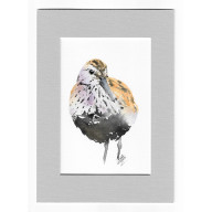 BIEGUS ZMIENNY - AKWARELA Z PASSE PORTOUT