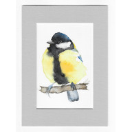 SIKORA BOGATKA - AKWARELA Z PASSE PORTOUT