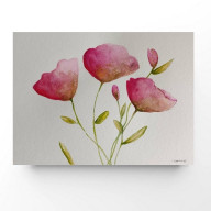 MAKI- AKWARELA FORMATU 18/24 CM