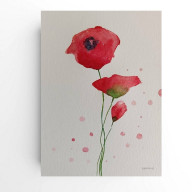 MAKI- AKWARELA FORMATU 32/24 CM