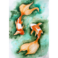 RYBKI KOI