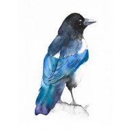 SROKA - OBRAZ AKWARELOWY