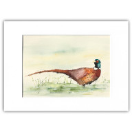 BAŻANT - AKWARELA Z PASSE PORTOUT