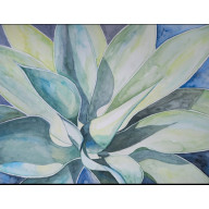 AGAWA1