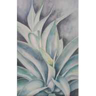 AGAWA3