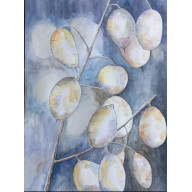 LUNARIA