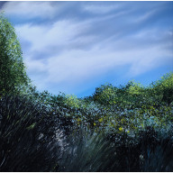 GREEN NATURE AND SKY