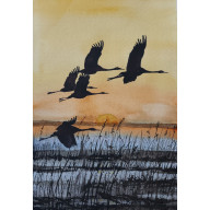 WOLNOŚĆ SKRZYDEŁ - AKWARELA 19 X 27